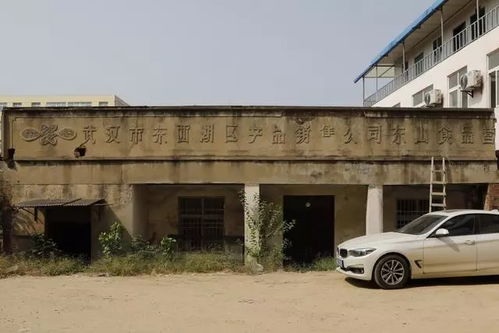 文物古跡 文物古跡 武漢市東西湖區(qū)人民政府 武漢臨空港經(jīng)濟(jì)技術(shù)開發(fā)區(qū)管委會(huì)