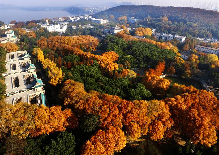 武漢大學(xué)宣布"無需預(yù)約"之后:全國媒體點贊,學(xué)生認(rèn)為"一些問題得到了